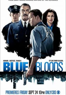 Сериал Голубая кровь (2010) смотреть 1-14 сезон 1-6 серия