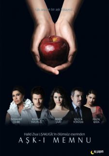 Сериал Запретная любовь (2008) смотреть 1-2 сезон 1-79 серия
