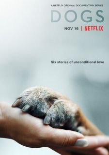 Сериал Собаки (2018) смотреть 1-2 сезон 1-4 серия