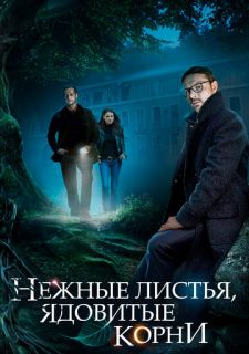 Сериал Нежные листья, ядовитые корни (2019) смотреть 1 сезон 1-4 серия