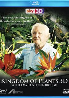 Сериал В королевстве растений (2012) смотреть 1 сезон 1-3 серия
